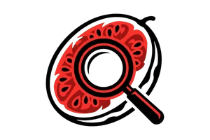 od体育app - 吃瓜社Logo